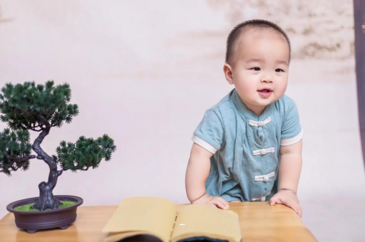 鸡西可爱的企鹅宝宝